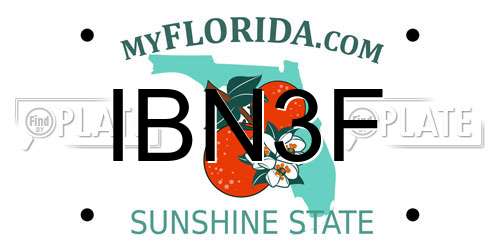 IBN3F Florida License Plate