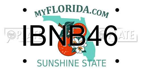 IBNB46 Florida License Plate