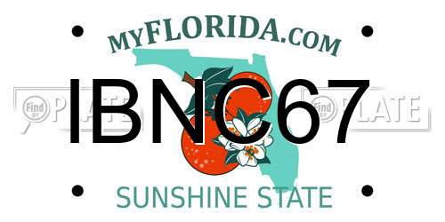 IBNC67 Florida License Plate