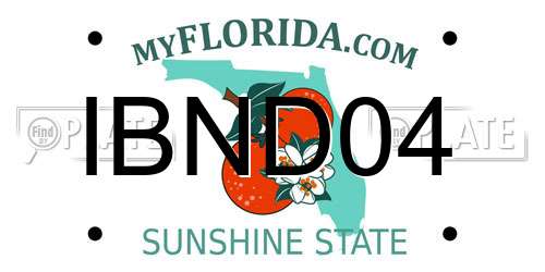 IBND04 Florida License Plate