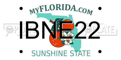 IBNE22 Florida License Plate