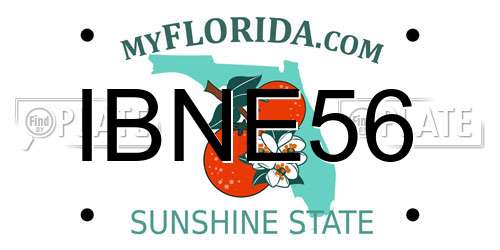 IBNE56 Florida License Plate
