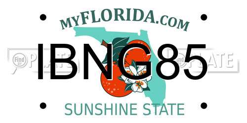 IBNG85 Florida License Plate