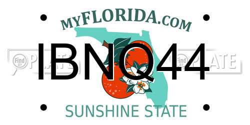 IBNQ44 Florida License Plate