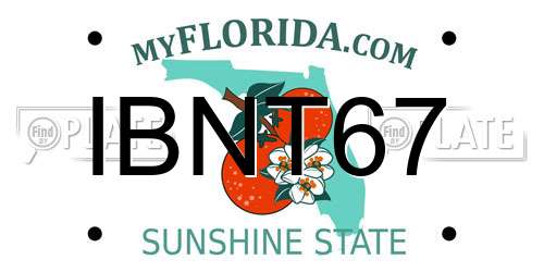 IBNT67 Florida License Plate