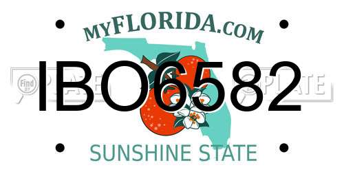 IBO6582 Florida License Plate
