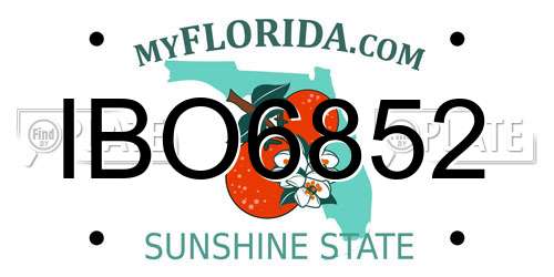 IBO6852 Florida License Plate