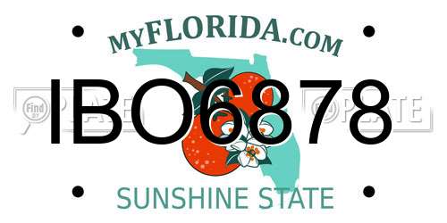 IBO6878 Florida License Plate