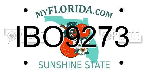 IBO9273 Florida License Plate