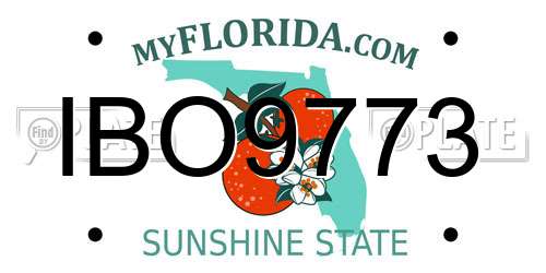 IBO9773 Florida License Plate