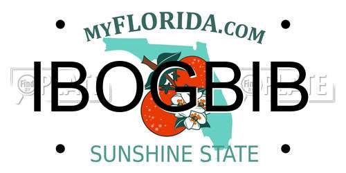 IBOGBIB Florida License Plate