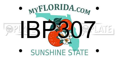 IBP307 Florida License Plate