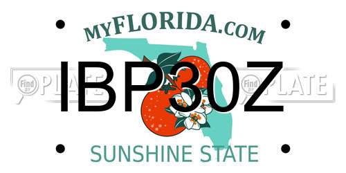 IBP30Z Florida License Plate