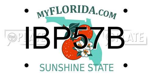 IBP57B Florida License Plate