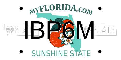 IBP6M Florida License Plate