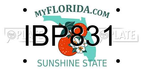 IBP831 Florida License Plate