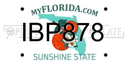 IBP878 Florida License Plate