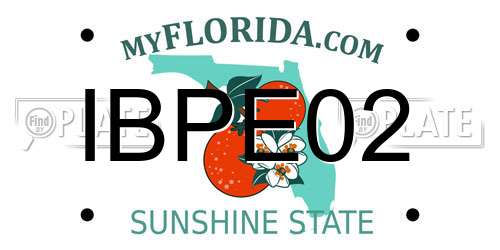 IBPE02 Florida License Plate