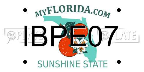 IBPE07 Florida License Plate