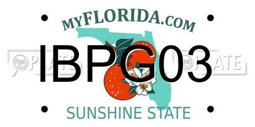 IBPG03 Florida License Plate
