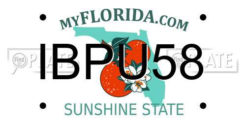 IBPU58 Florida License Plate
