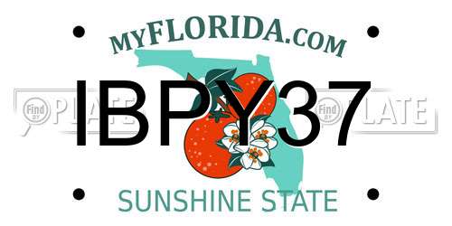 IBPY37 Florida License Plate