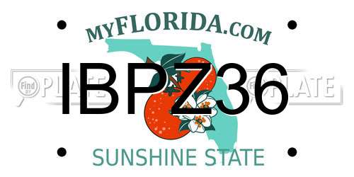 IBPZ36 Florida License Plate