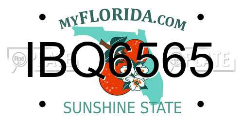 IBQ6565 Florida License Plate