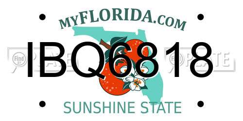 IBQ6818 Florida License Plate