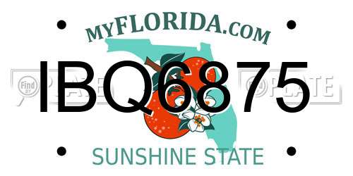 IBQ6875 Florida License Plate
