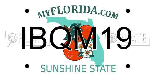 IBQM19 Florida License Plate