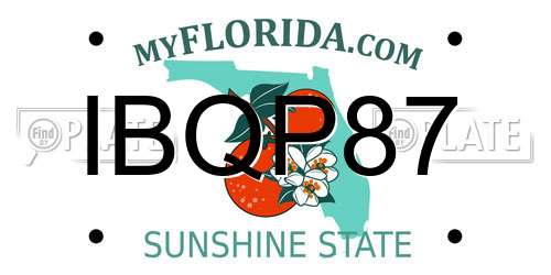 IBQP87 Florida License Plate