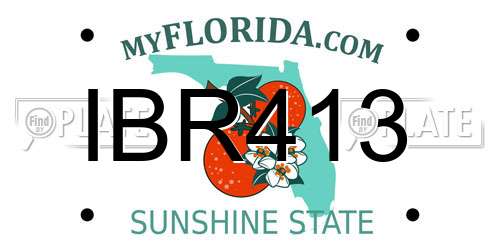 IBR413 Florida License Plate