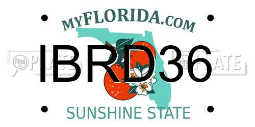 IBRD36 Florida License Plate