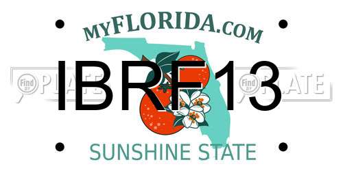 IBRF13 Florida License Plate