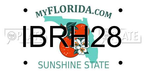 IBRH28 Florida License Plate