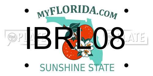 IBRL08 Florida License Plate