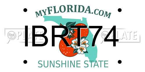 IBRT74 Florida License Plate