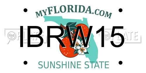 IBRW15 Florida License Plate