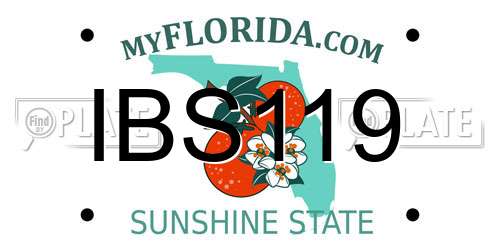 IBS119 Florida License Plate