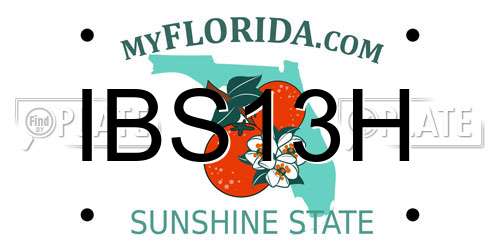 IBS13H Florida License Plate