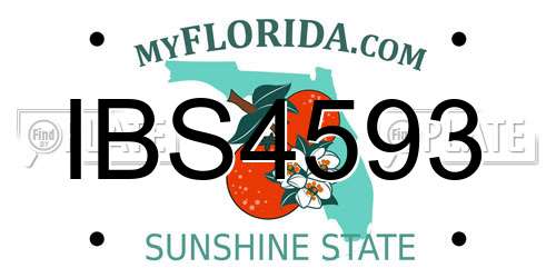 IBS4593 Florida License Plate