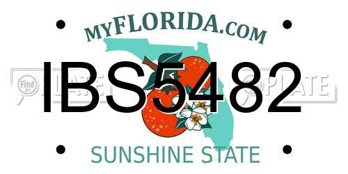 IBS5482 Florida License Plate