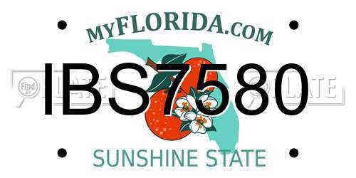 IBS7580 Florida License Plate