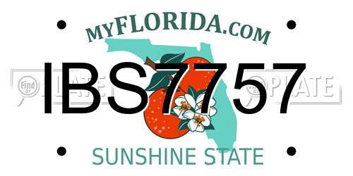 IBS7757 Florida License Plate