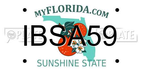 IBSA59 Florida License Plate