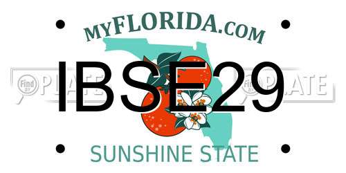 IBSE29 Florida License Plate