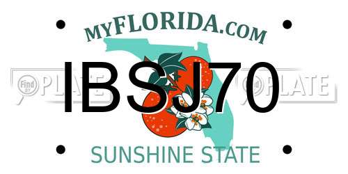 IBSJ70 Florida License Plate