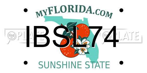 IBSL74 Florida License Plate