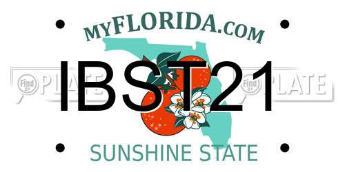 IBST21 Florida License Plate
